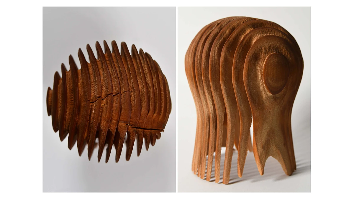DNA Design 2020 Sarah Morelli - Contexture