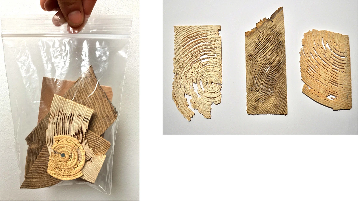 DNA Design 2020 Sarah Morelli - Contexture