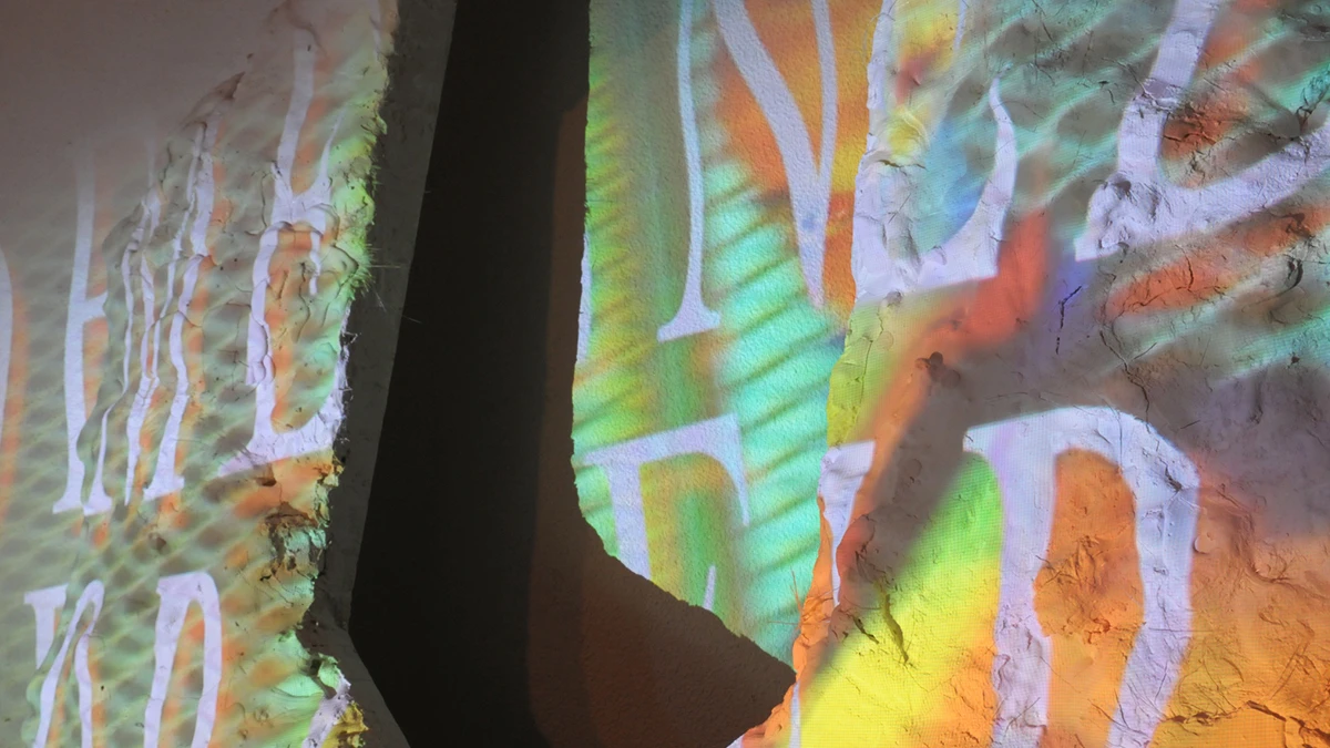 DNSEP Art 2015 Laurie Mortreuil
