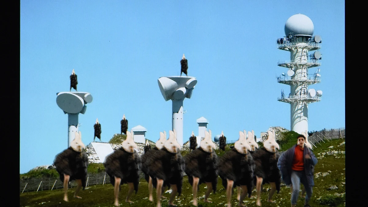 DNA Art 2019 - Oc&eacute;ane Poyet