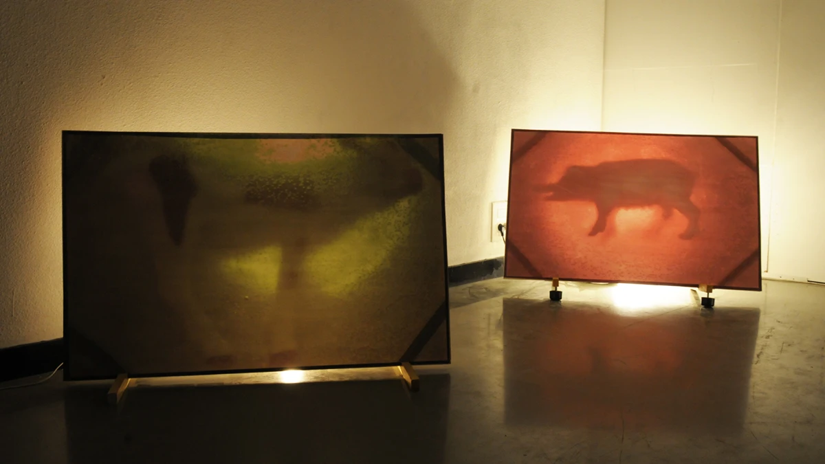 DNA Art 2015 - Pozzo di Borgo Caroline