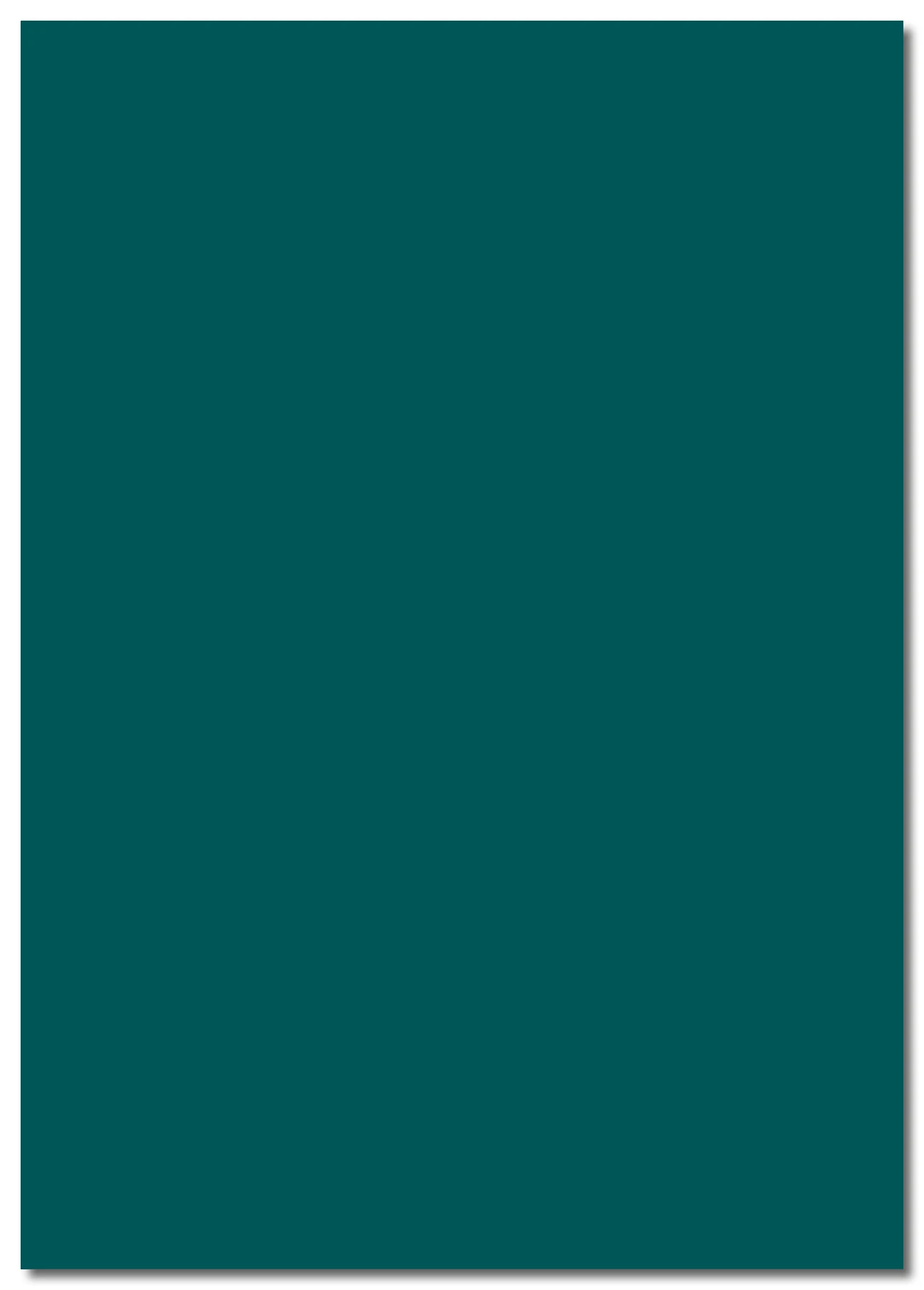 M&eacute;moire Caroline Pozzo Di Borgo