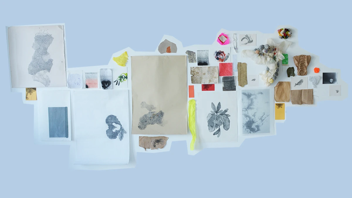 DNA Art 2015 - Rocagel Andr&eacute;a