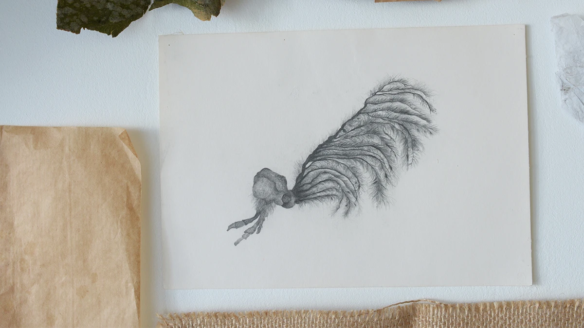 DNA Art 2015 - Rocagel Andr&eacute;a