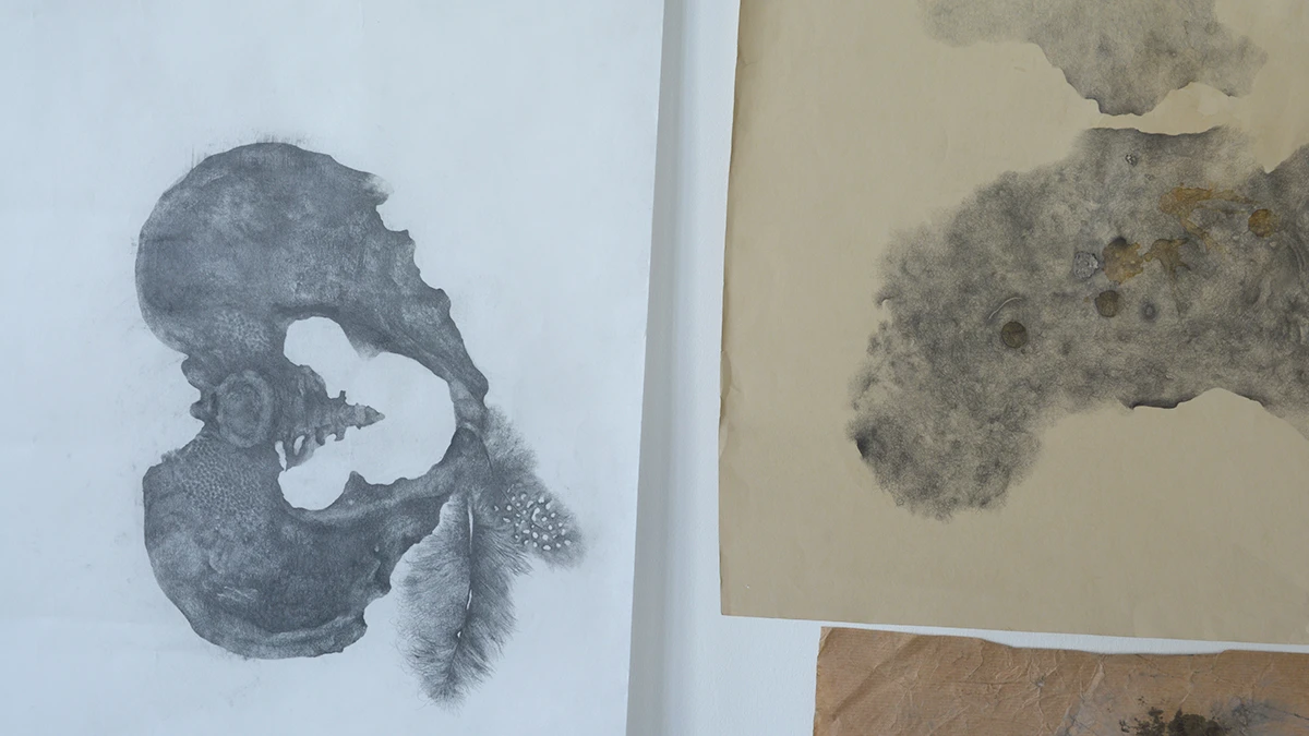 DNA Art 2015 - Rocagel Andr&eacute;a