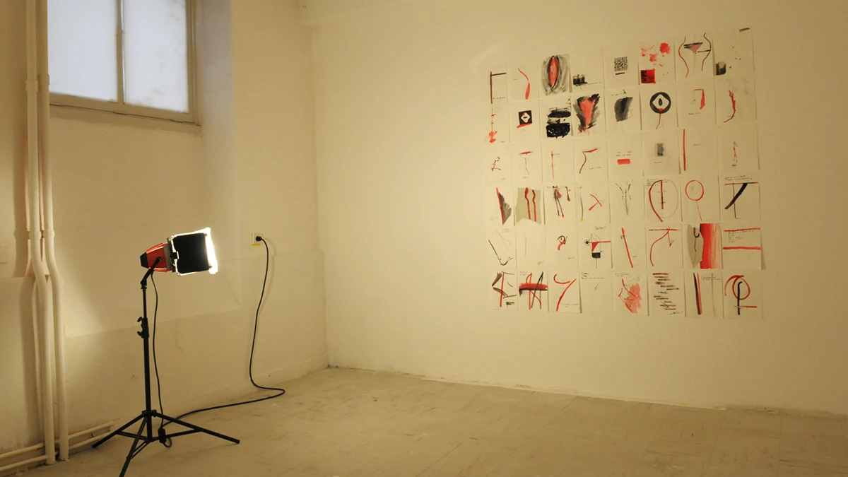 DNA Art 2015 - Rotsaert Pauline