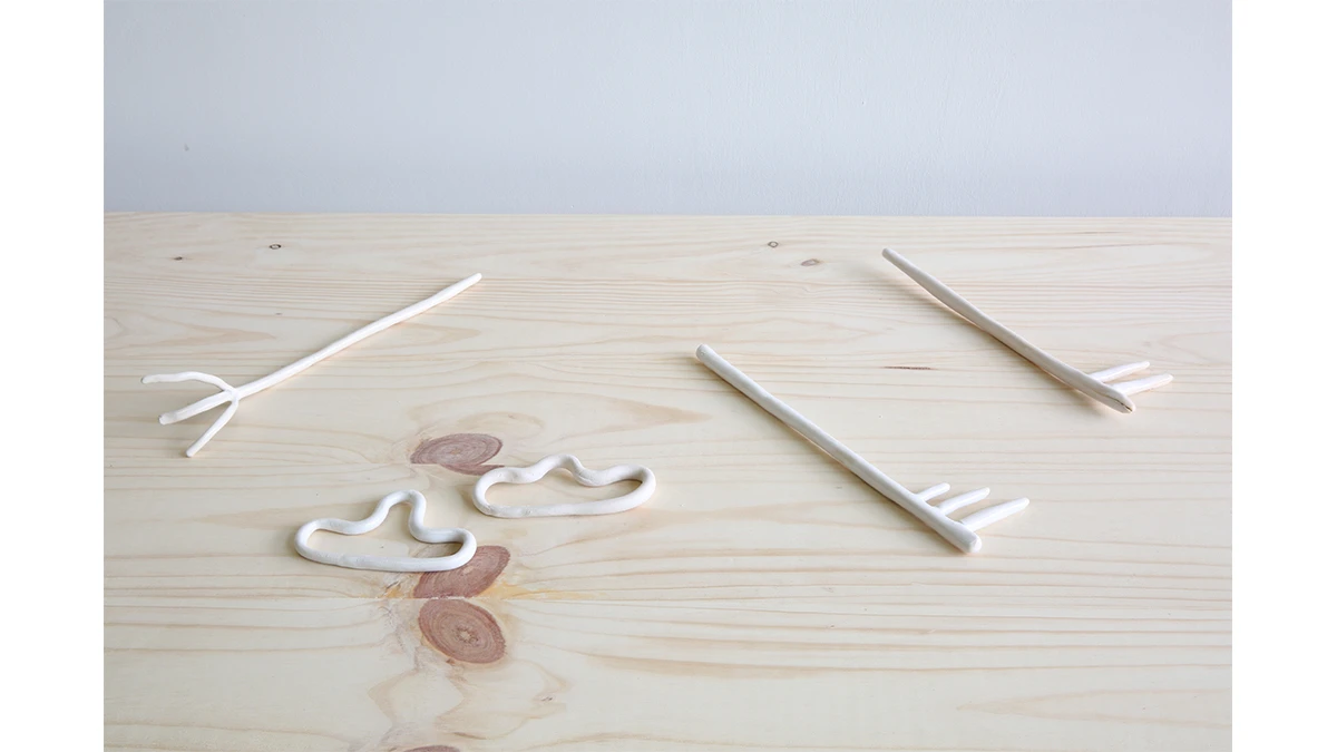 DNSEP Design 2016 Johanna Rott