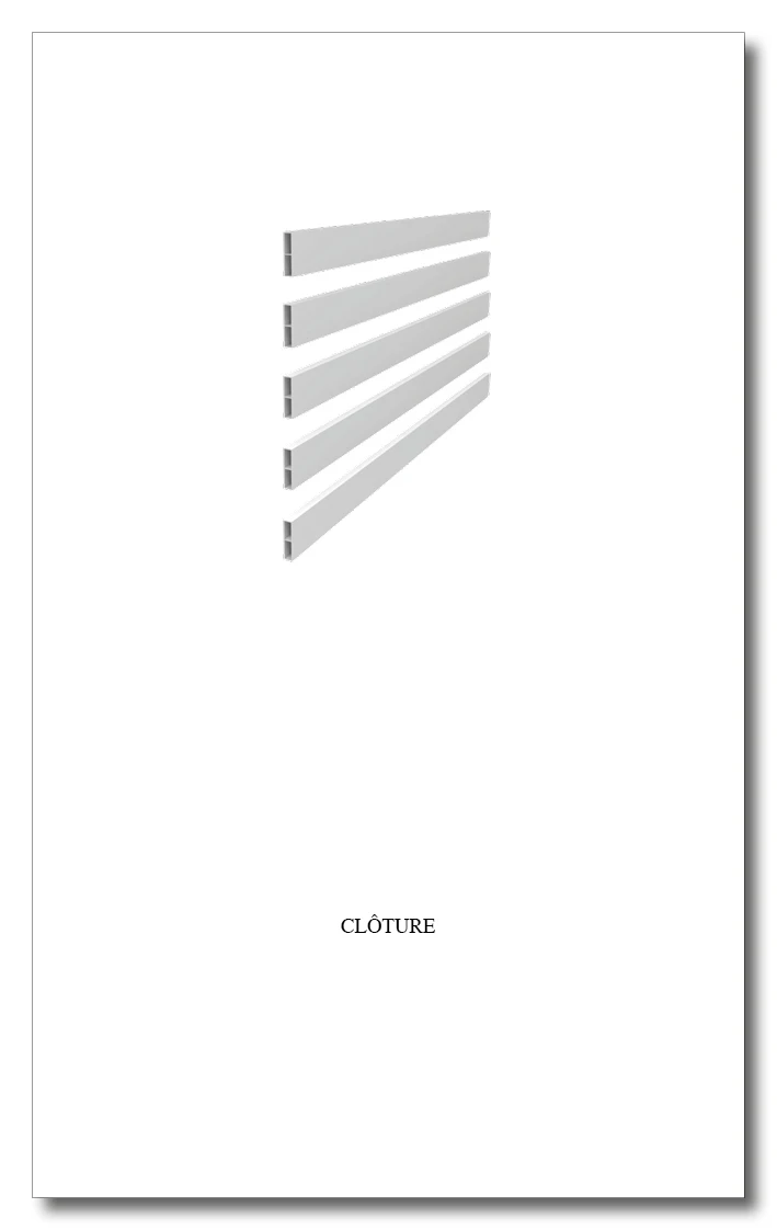 Mémoire Manon Tardy