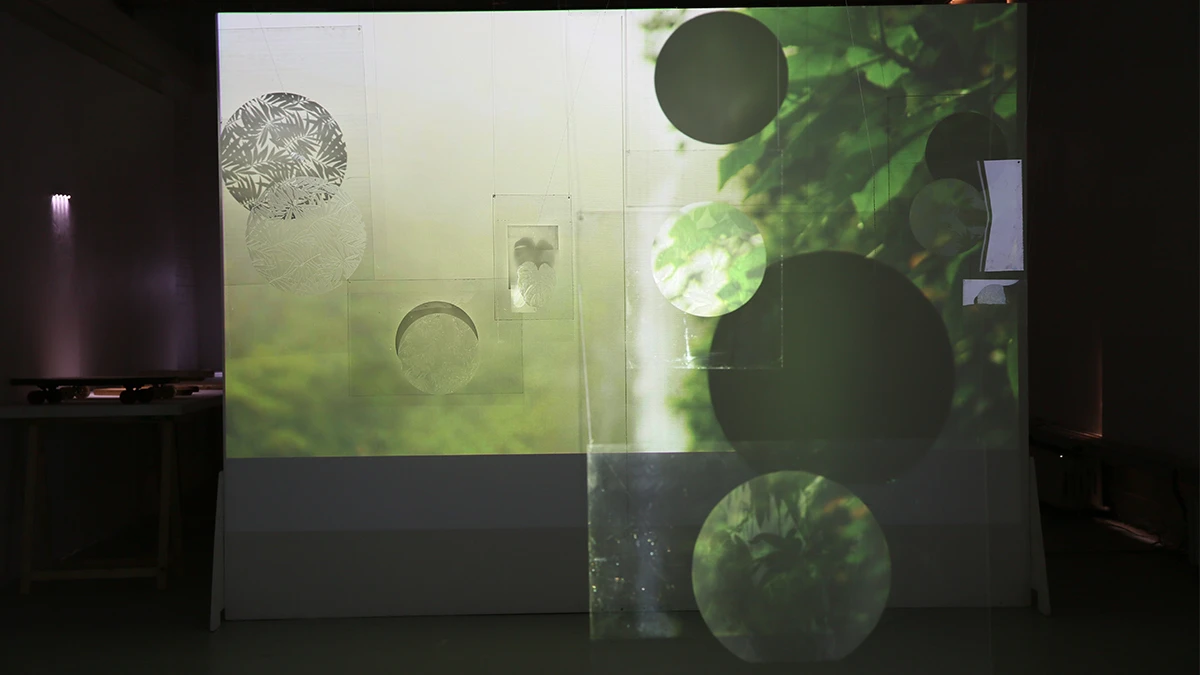 DNA Art 2017 - Sophie Tyrode Saint-Louis