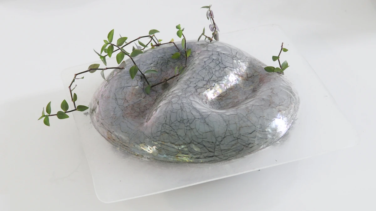 DNSEP Design 2015 Marie Varenne